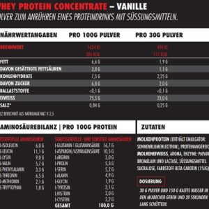 Big Zone Battle Whey 1000g Milch mit Honig