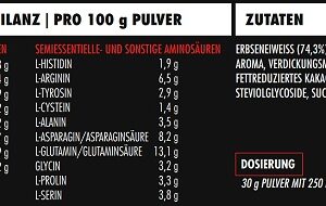 Big Zone Battle Vegan 1000g Schoko Haselnuss